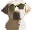 Learn all about labs here. A wide variety of information.