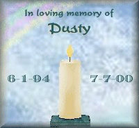 candle for Dusty