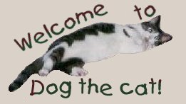 Welcome to Dog the cat!