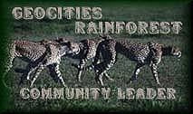 rainforest Community Leader
