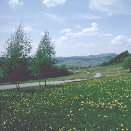 L�wenzahn