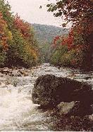 Red Creek, West Virginia