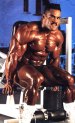 click here for the big pic!