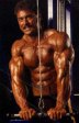 click here for the big pic!