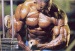 click here for the big pic!