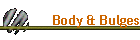 Body & Bulges