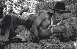 cowboy04.jpg