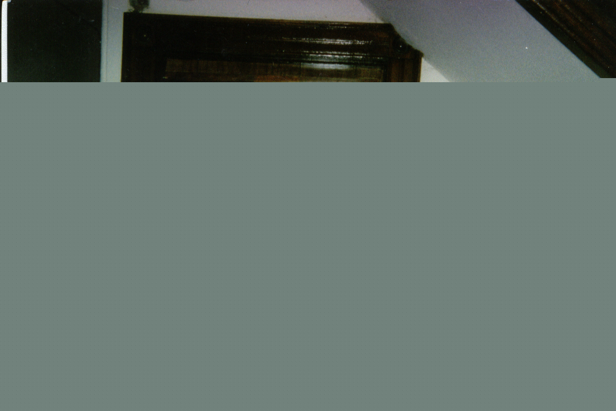 p6.jpg