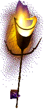 torch