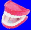 False Teeth