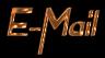 E-Mail the Author