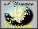 yosemite Treasure Award