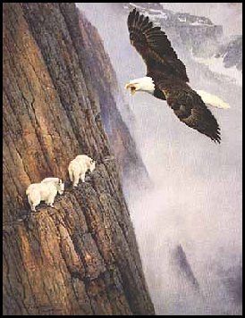 On The Edge by Hayden Lambson