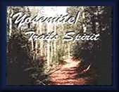 yosemite/Trails Spirit logo