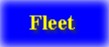 Fleet