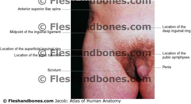 vagina bleeds after sex abdo girl naked pics