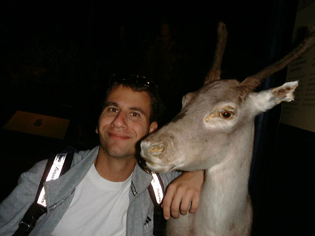 Bambi gives me a lil sumthin' sumthin!