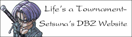 Life's a Tournament-Setsuna's DBZ Website
