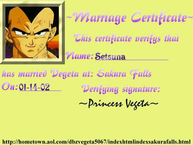 I married Vegeta at Sakura Falls!