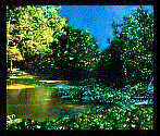 Kountze park
