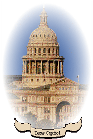Official eGoverment site for the State of Texas