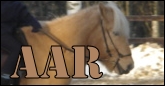 Banner3