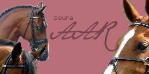 Banner5