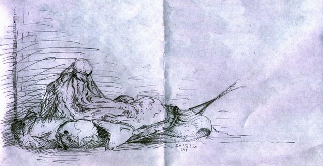 cacoon01.jpg