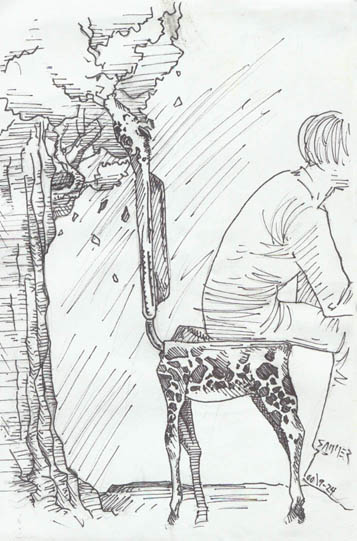 morph02.jpg