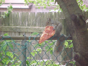 look at silly seven and that pizza!