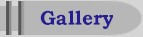 Go to the Picture Gallery