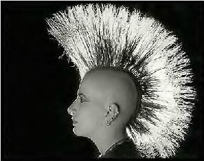 An extreme example of the Mohican