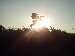 Vote for your favourite photo!