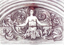 tara0002