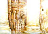 Scan00088