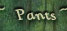 Pants