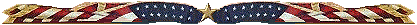 Flag Bar