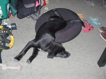 This can't be comfortable??