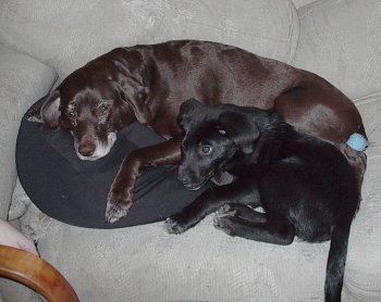 Truce?