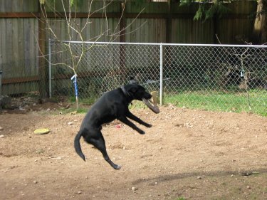 I can FLY!