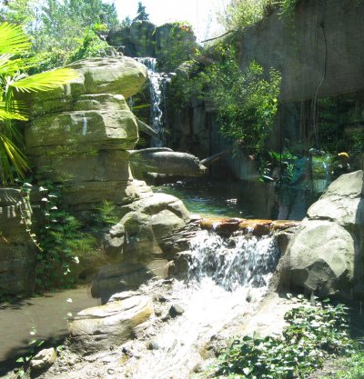 Jaguar habitat