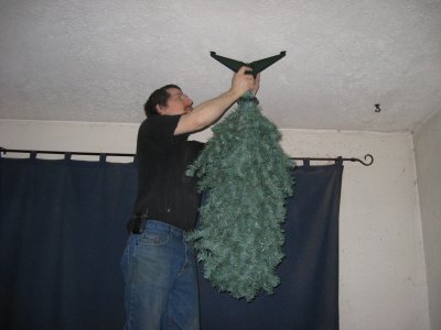 Stan puting the tree on the ceiling.