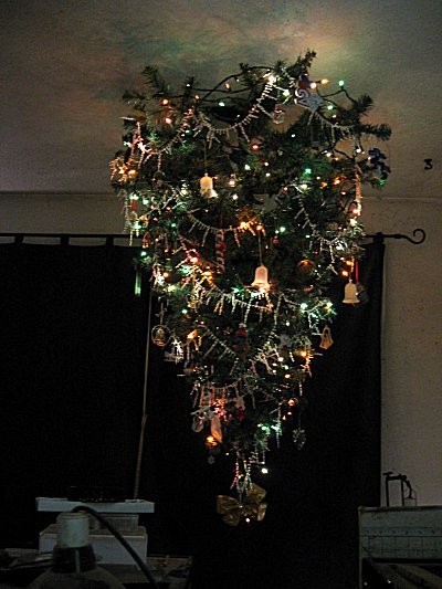 lighted tree