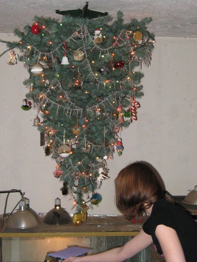 Trysta and the tree.