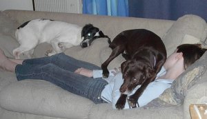 Puppy Blankets