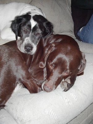 Pillow time