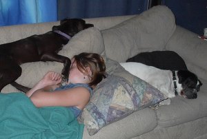 The comfort of puppies.