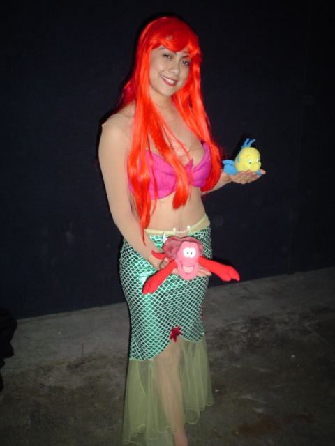 Desde la convencion de Monterrery Marzo&nbsp; 2006