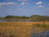 12a.jpg (4567 bytes)