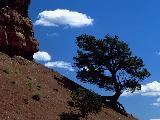 9a.jpg (5839 bytes)